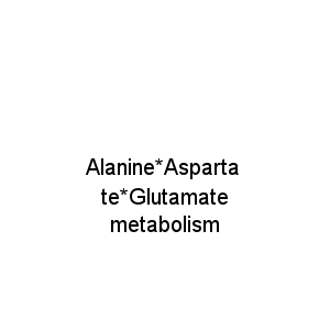 Alanine*Aspartate*Glutamate metabolism
